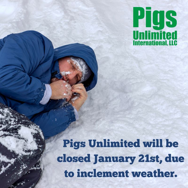 Pigs Unlimited tweet media