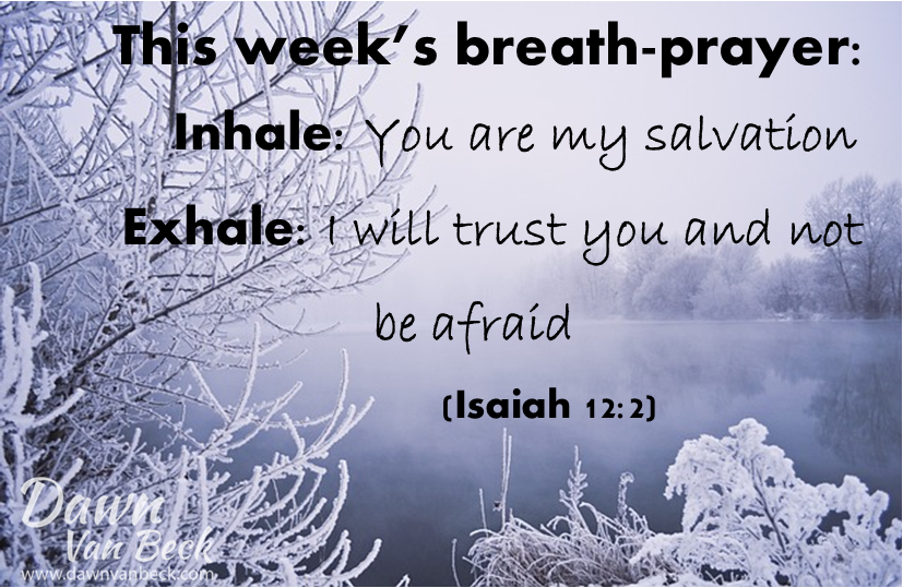 Dawn Van Beck tweet media