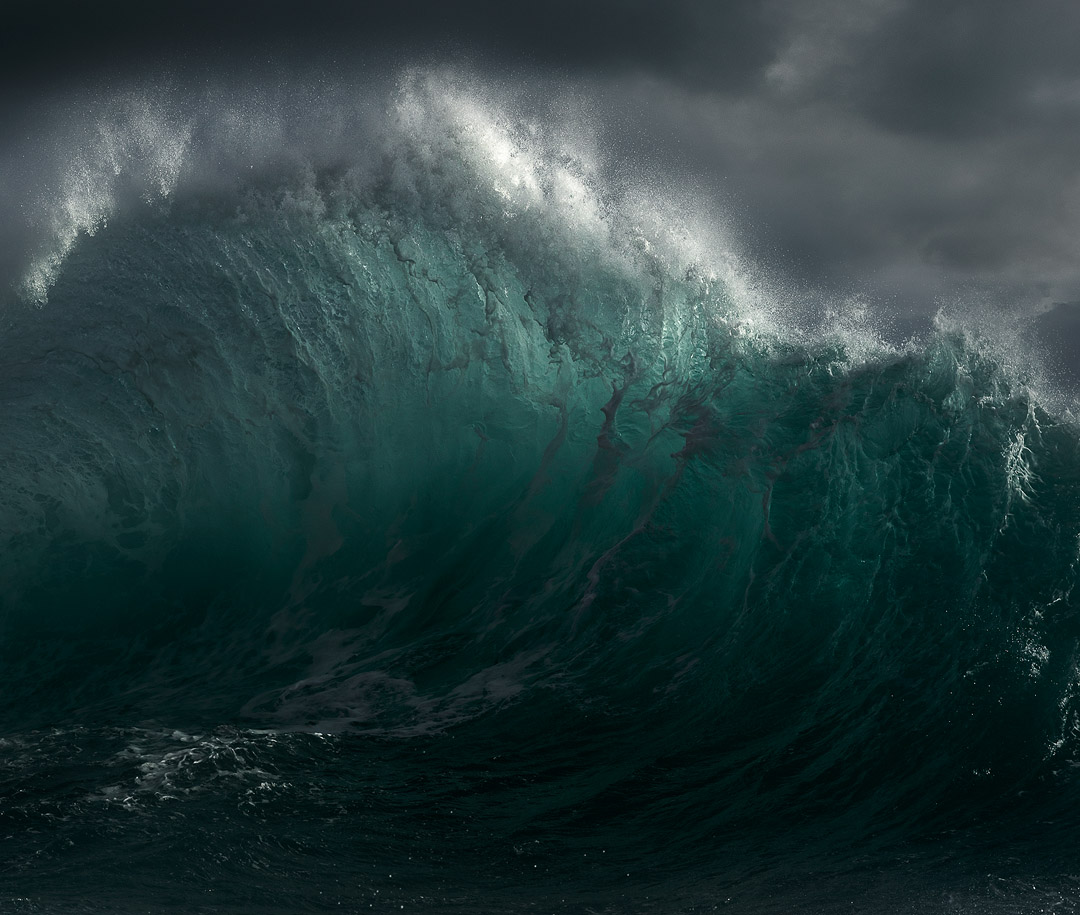 Mark Dobson | Wild Seascapes tweet media