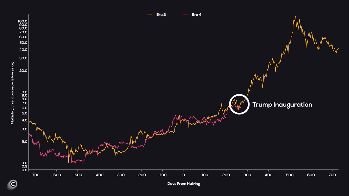 Mister Crypto tweet media