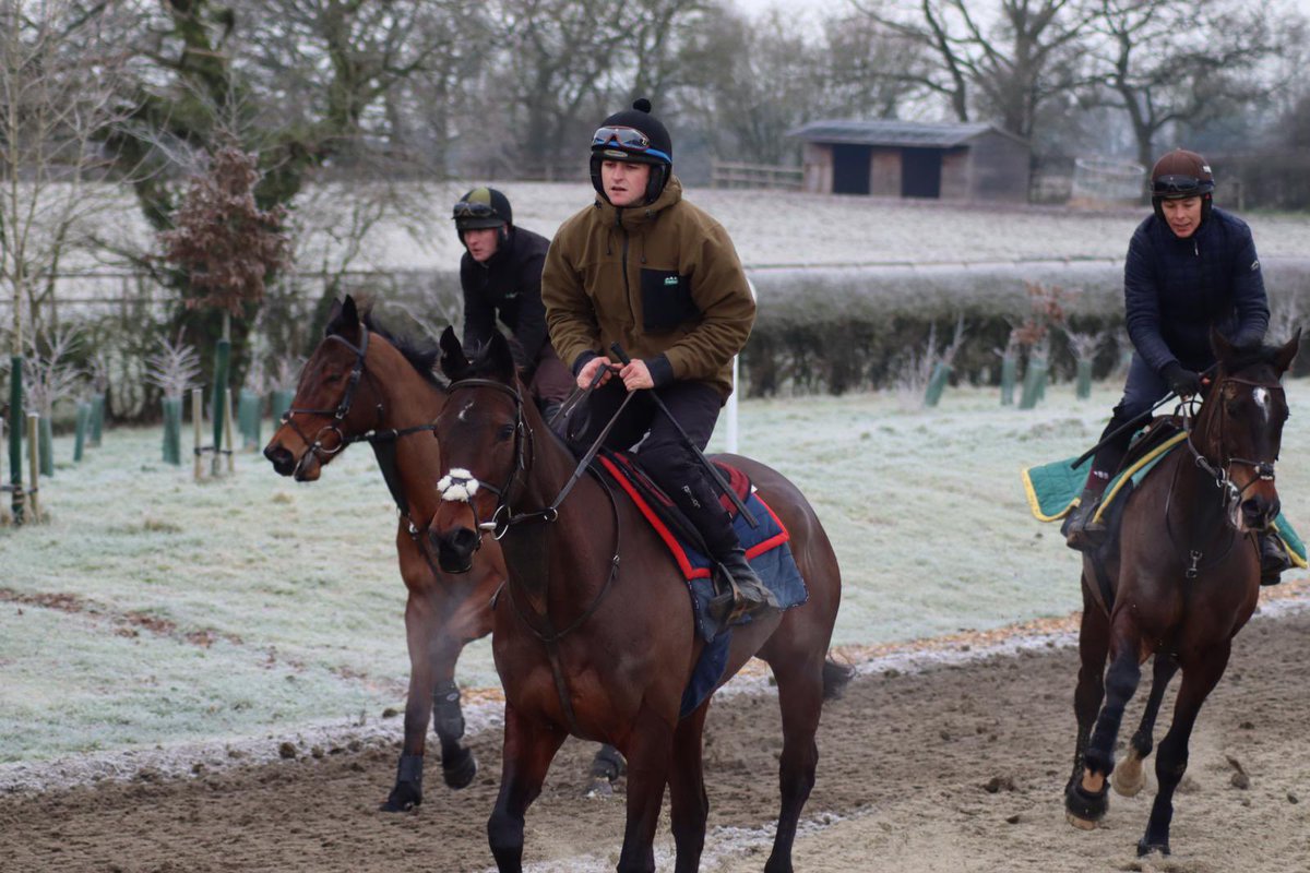 UrloxheyStables's tweet photo. ✈️ Quick Sharpener &amp; Easy To Follow having some schooling practice at Urloxhey, @OBoyden6767 &amp; Luke Scott on board.

#PracticeMakesPerfect #jumping #horseracing #ITVhomeschooling https://t.co/9lbkg972wR