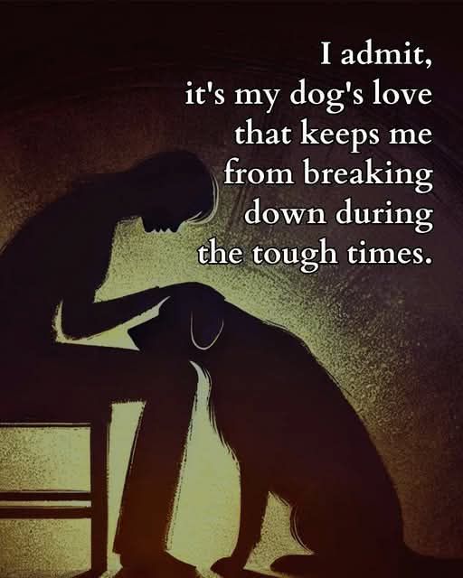 𝕏 Dogs (@_xdogs) on Twitter photo 