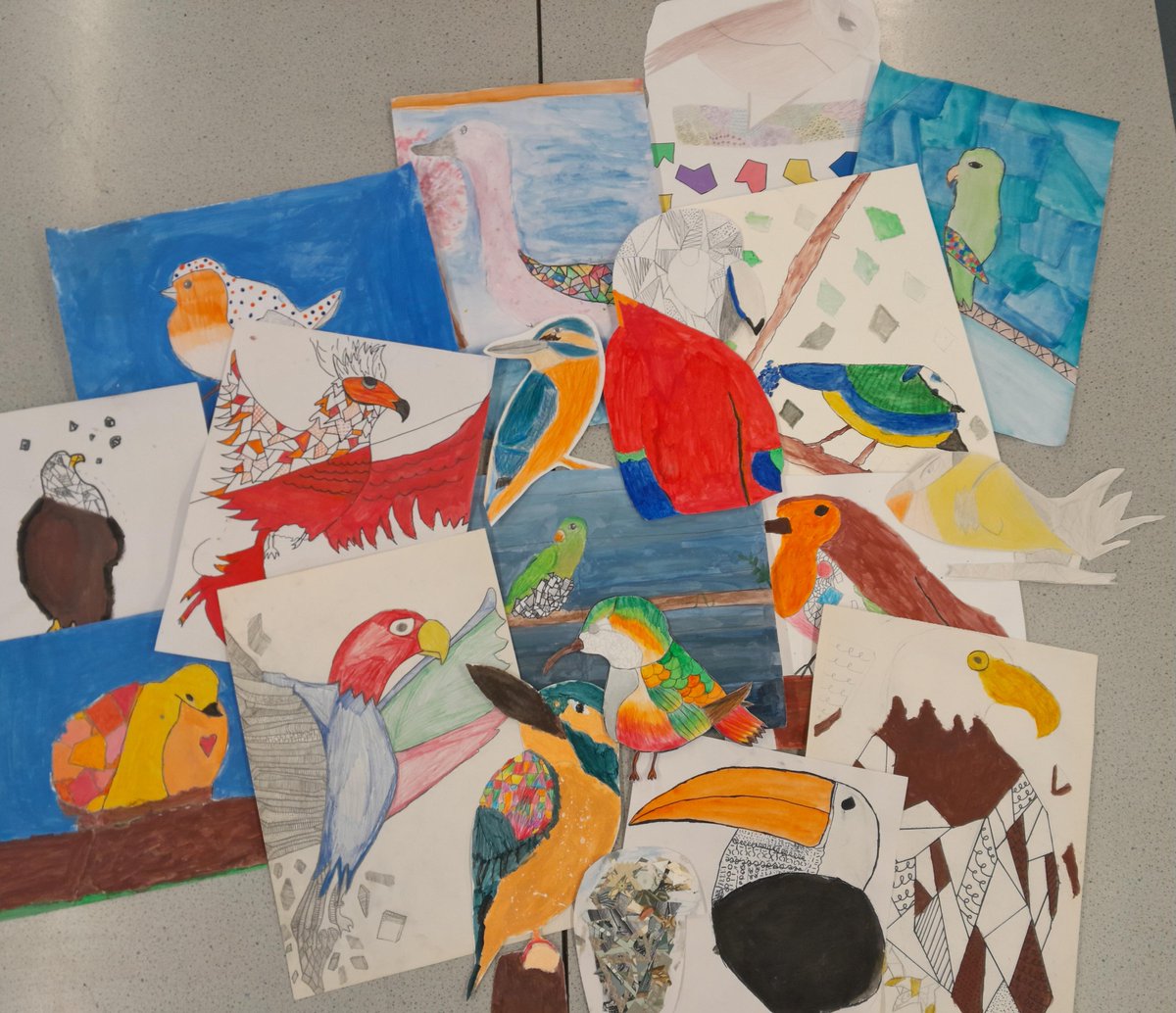 Geometric bird outcomes from a range of students in 8S1 inspired from artists Kerby Rosanes and Clare Young.