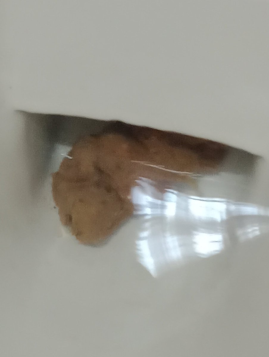 QueenDeusarina's tweet photo. Fui cagar no trabalho e deu ruim , fiquei presa no banheiro por causa desse último troço, tive que pegar o balde na frente das clientes, foram vários baldes de água, várias descarregadas enterditei o banheiro 😂😂😂 #Scat #paypig #humanata #privadahumana https://t.co/YSCy2WfZdL