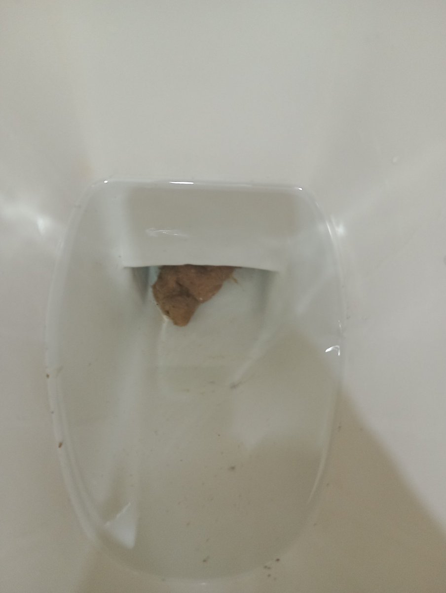 QueenDeusarina's tweet photo. Fui cagar no trabalho e deu ruim , fiquei presa no banheiro por causa desse último troço, tive que pegar o balde na frente das clientes, foram vários baldes de água, várias descarregadas enterditei o banheiro 😂😂😂 #Scat #paypig #humanata #privadahumana https://t.co/YSCy2WfZdL