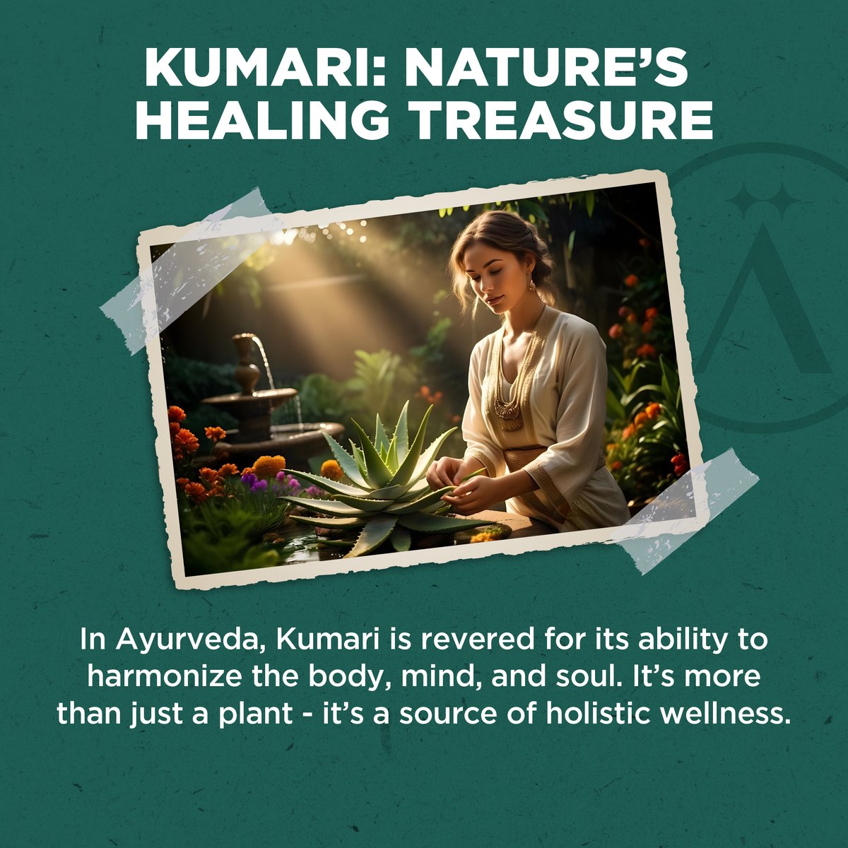 avahalife's tweet photo. Kumari 🌿, Ayurveda’s gift, harmonizes body, mind, and soul. Calms Vata 🌬️, cools Pitta 🔥, and balances Kapha 🌊.

Explore more at https://t.co/oGlCLcjfzS 💚

#Kumari #Avahalife #Ayurveda #Aloevera #HolisticWellness #Beauty #SkinCare https://t.co/ZUyNTfbvte