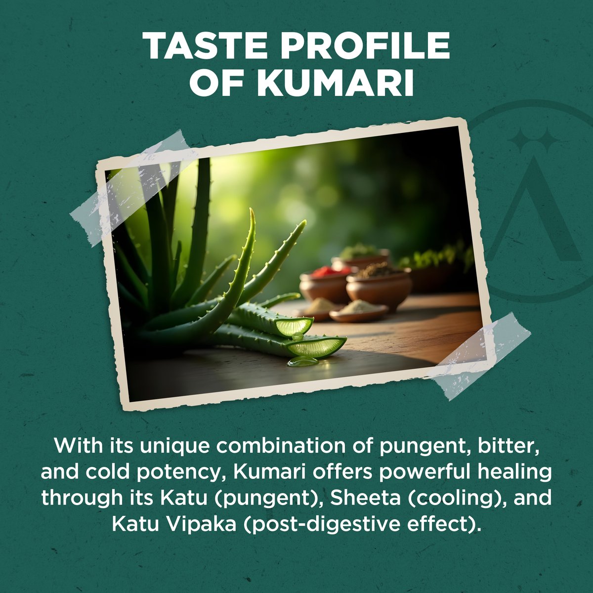 avahalife's tweet photo. Kumari 🌿, Ayurveda’s gift, harmonizes body, mind, and soul. Calms Vata 🌬️, cools Pitta 🔥, and balances Kapha 🌊.

Explore more at https://t.co/oGlCLcjfzS 💚

#Kumari #Avahalife #Ayurveda #Aloevera #HolisticWellness #Beauty #SkinCare https://t.co/ZUyNTfbvte