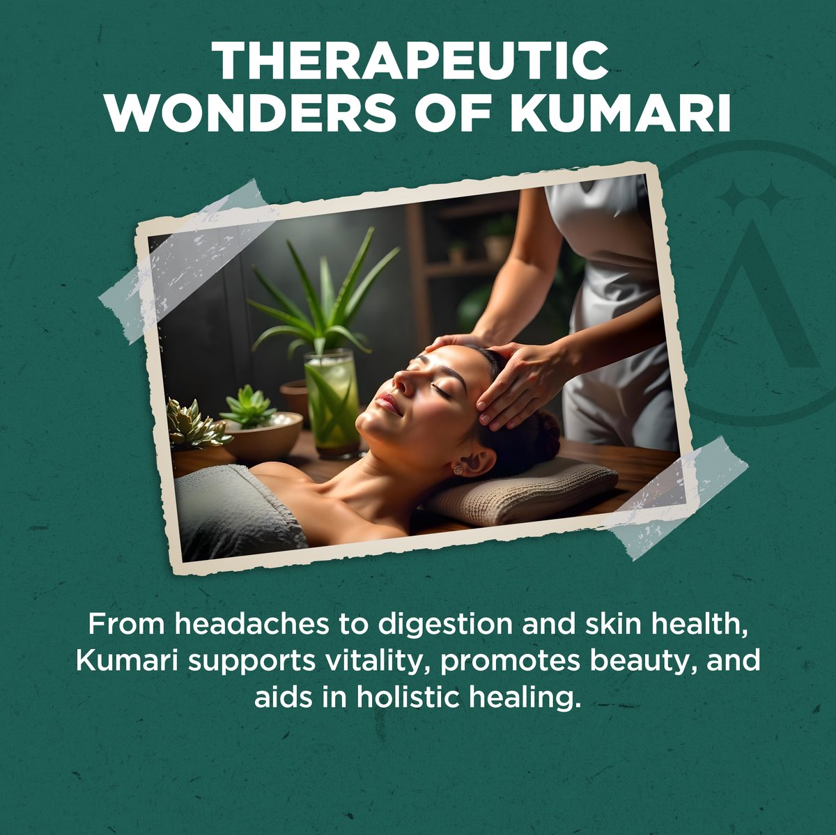 avahalife's tweet photo. Kumari 🌿, Ayurveda’s gift, harmonizes body, mind, and soul. Calms Vata 🌬️, cools Pitta 🔥, and balances Kapha 🌊.

Explore more at https://t.co/oGlCLcjfzS 💚

#Kumari #Avahalife #Ayurveda #Aloevera #HolisticWellness #Beauty #SkinCare https://t.co/c0CAH3mfgw