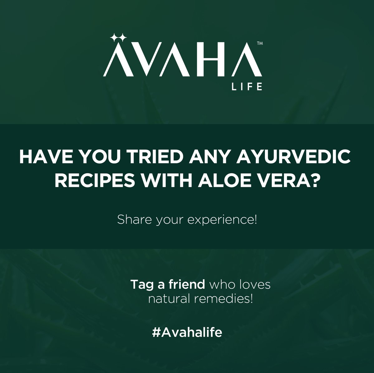 avahalife's tweet photo. Kumari 🌿, Ayurveda’s gift, harmonizes body, mind, and soul. Calms Vata 🌬️, cools Pitta 🔥, and balances Kapha 🌊.

Explore more at https://t.co/oGlCLcjfzS 💚

#Kumari #Avahalife #Ayurveda #Aloevera #HolisticWellness #Beauty #SkinCare https://t.co/c0CAH3mfgw