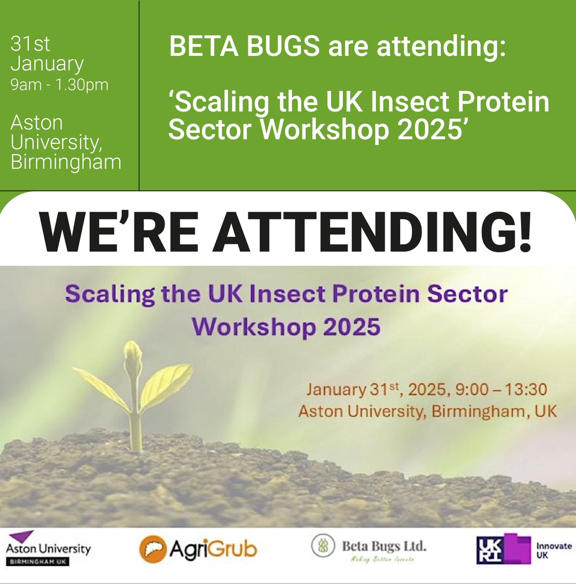 betabugsltd's tweet photo. Beta Bugs and Aston University are working on the project "Scaling the UK Insect Protein Sector" with AgriGrub Ltd, funded by Innovate UK and the BBSRC.
👉 Register now to secure your spot - https://t.co/90X0CaYEtW
#InsectProtein #Sustainability #FoodInnovation #UKWorkshops https://t.co/qBEaIc8Pqk