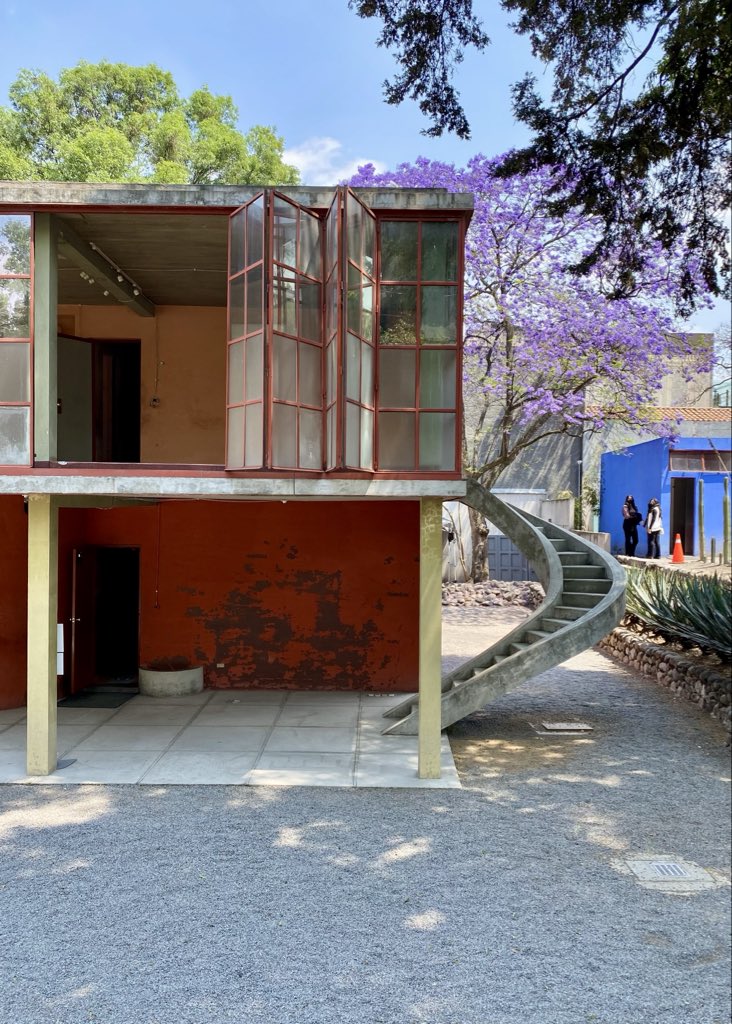 Armando Maravilla - Wonder tweet media