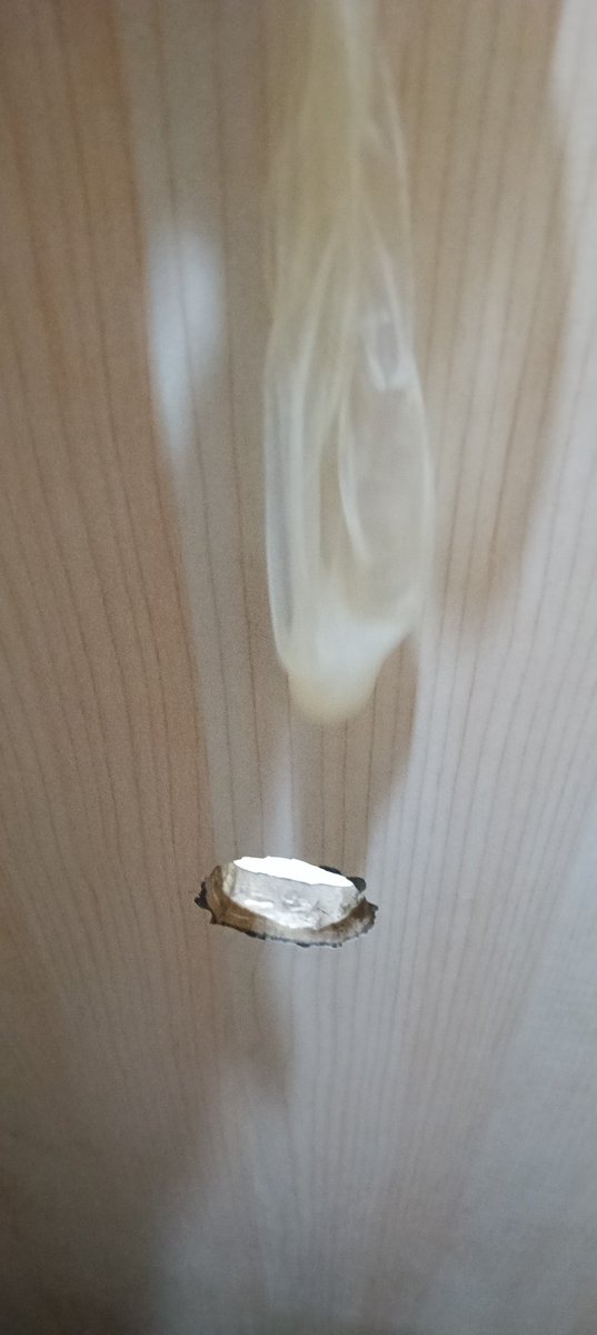 cd106900's tweet photo. 鸟洞本来想吃鸡喝精，看他那么硬屁穴受不了，索性让他把我一顿狂操，现在腿软站不住了 https://t.co/n2r3IX6Maf