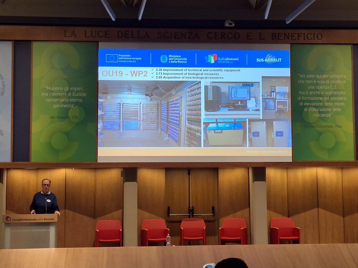 Sus Mirri tweet media