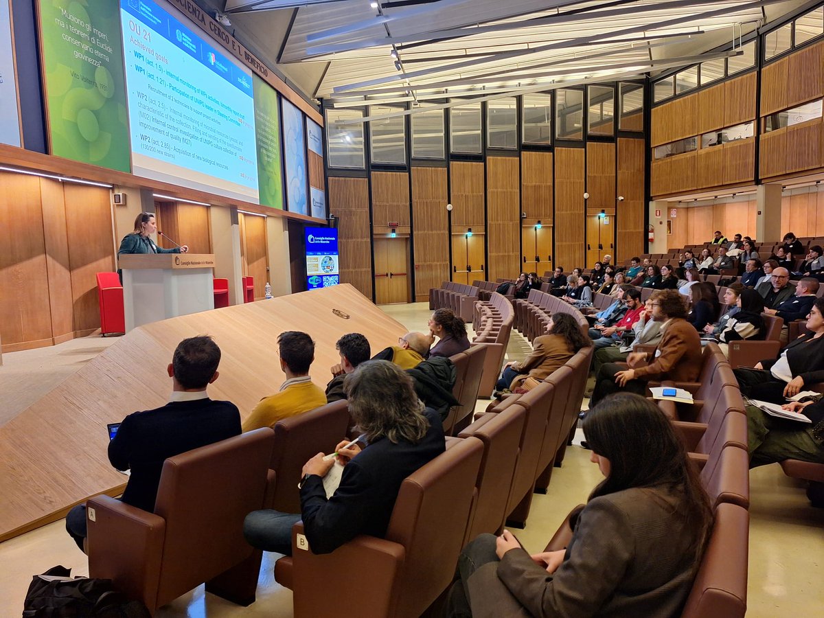 Sus Mirri tweet media