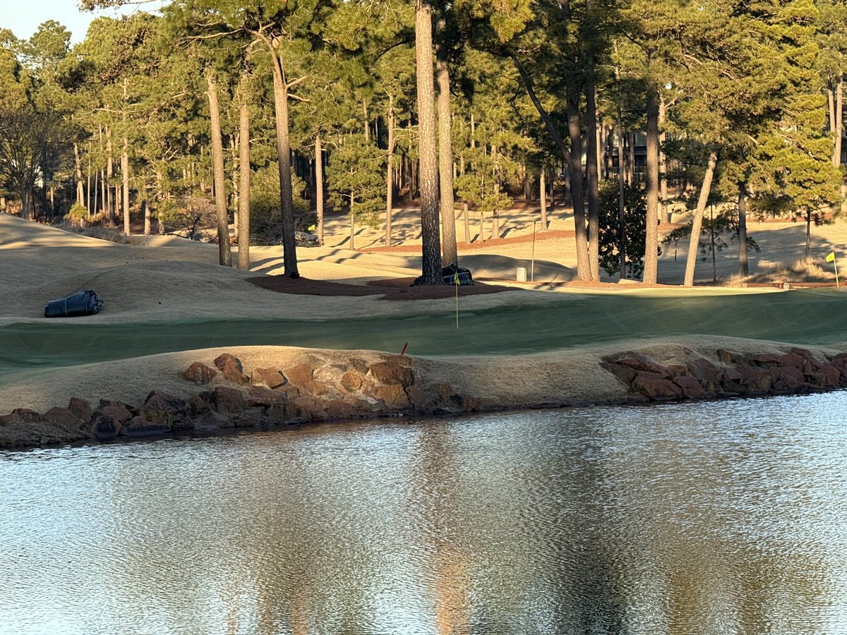 Tim McCord tweet media