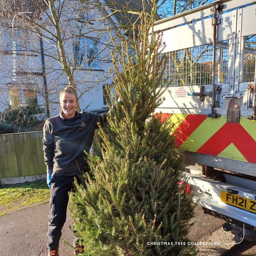 Flagship (@flagshiphousing) on Twitter photo 🎄 Tree-mendous treecycling! ♻️ Last week, colleagues from <a href="/MyNewtideHome/">Newtide Homes</a>/<a href="/MyVictoryHome/">Victory Homes</a> Housing & Neighbourhood teams braved the cold for a second year of collecting Christmas trees in exchange for charity donations for <a href="/StElizabethHosp/">stelizabethhosp</a>/<a href="/EACH_hospices/">EACH</a>: flagship-group.co.uk/news/article/t… 🎄 Tree-mendous treecycling! ♻️ Last week, colleagues from <a href="/MyNewtideHome/">Newtide Homes</a>/<a href="/MyVictoryHome/">Victory Homes</a> Housing & Neighbourhood teams braved the cold for a second year of collecting Christmas trees in exchange for charity donations for <a href="/StElizabethHosp/">stelizabethhosp</a>/<a href="/EACH_hospices/">EACH</a>: flagship-group.co.uk/news/article/t…