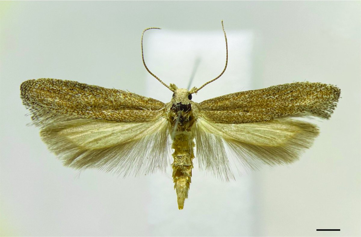 BDJournal tweet media