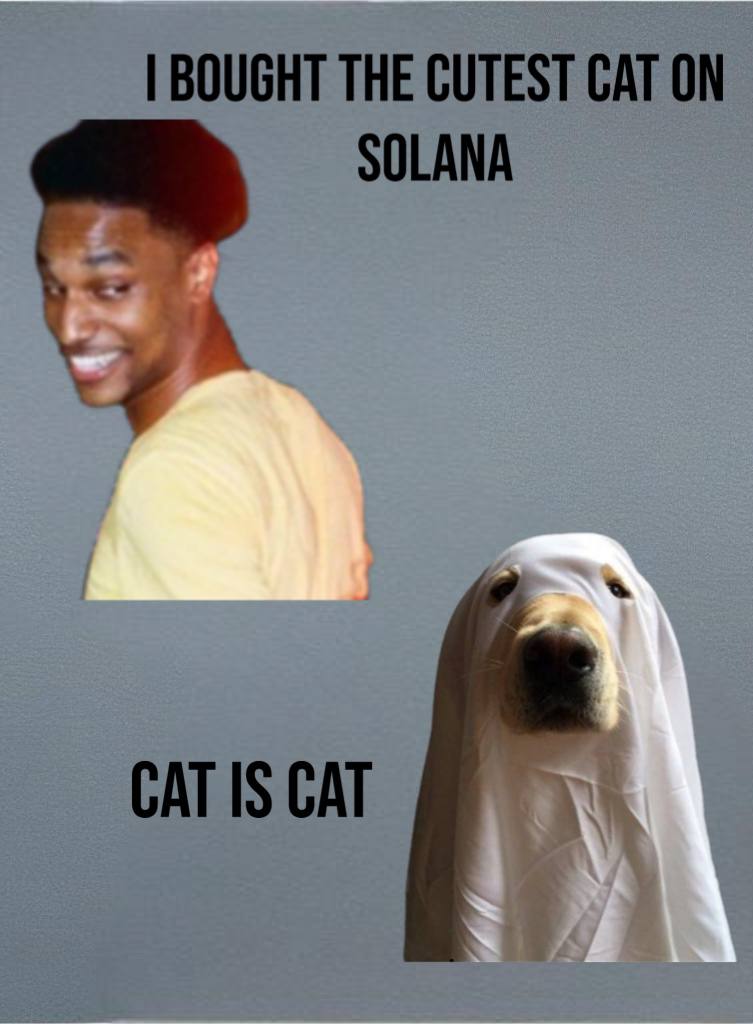 LLCDCI's tweet photo. @deanbulla @imcatok Its a meme. 

Iamcat, ok!

Believe in something. 

This cat believes its a cat. https://t.co/EBsn8u5Ceu