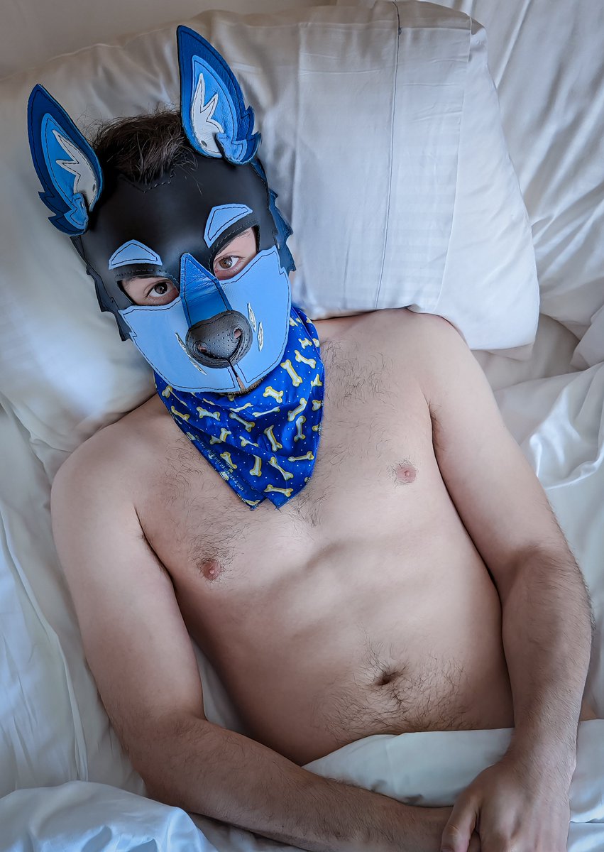 Another Pup named Buzz (@buzz_pup) / Posts / X