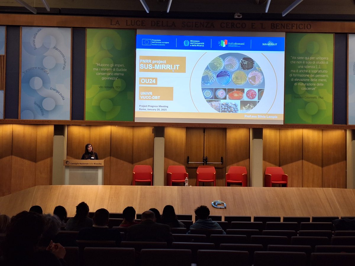 Sus Mirri tweet media