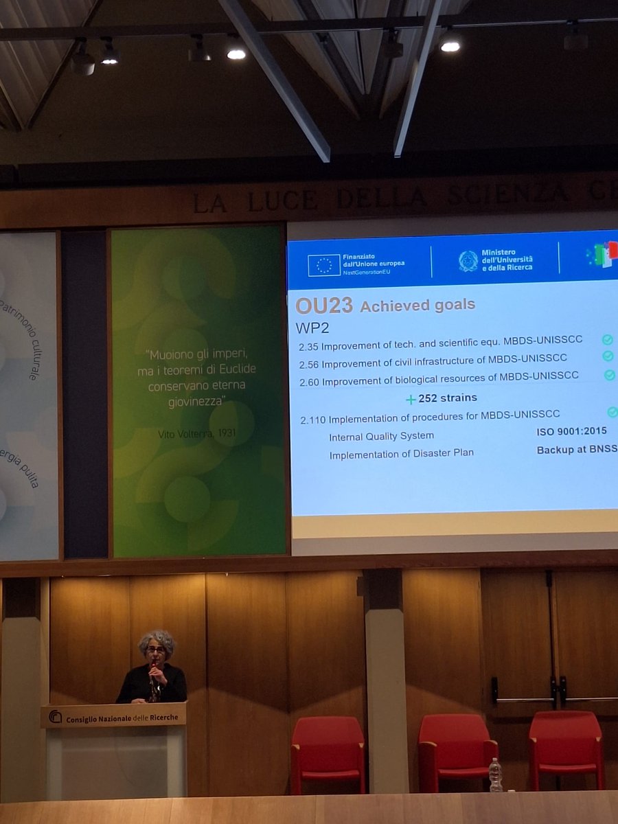 Sus Mirri tweet media