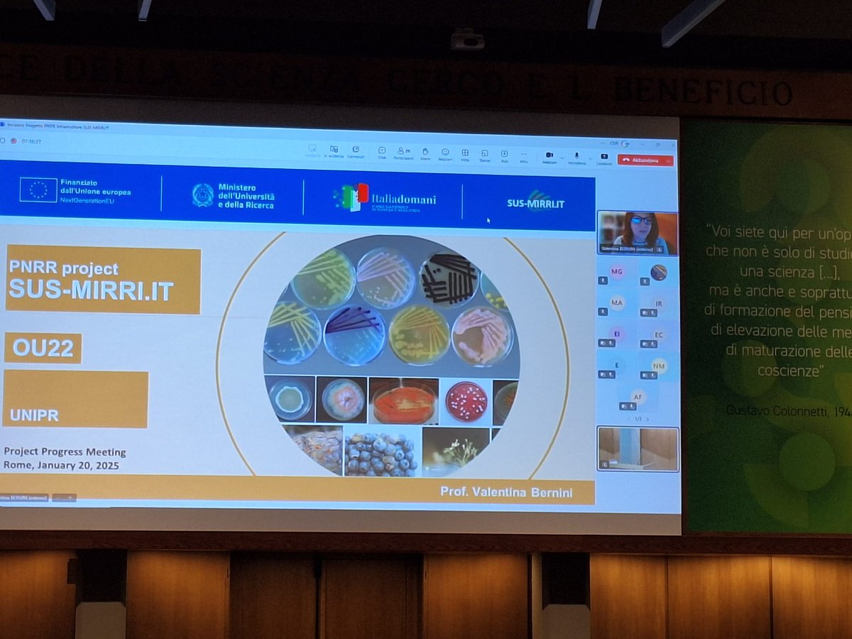 Sus Mirri tweet media