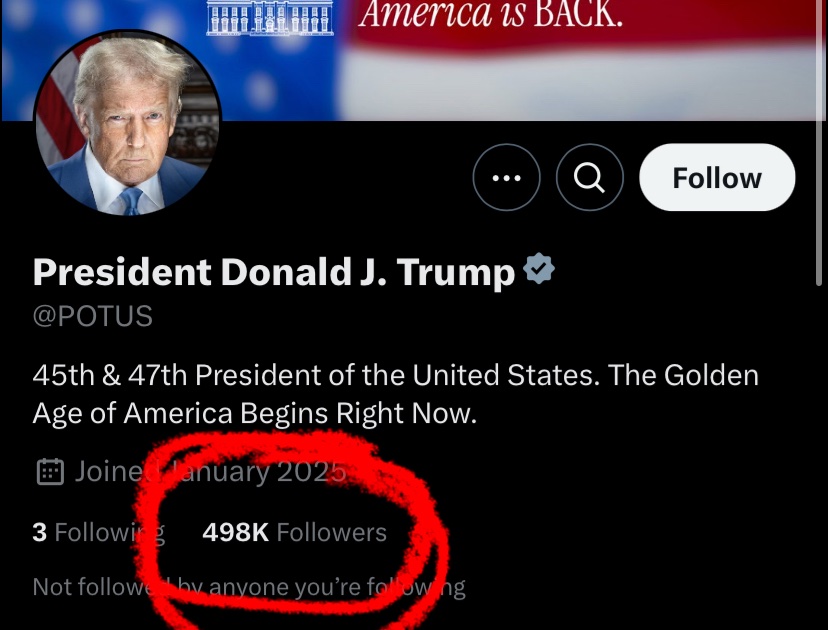 suckrpunches's tweet image. the irrelevant               the beautiful and
trump:                             talented       
                                           ldshadowlady: