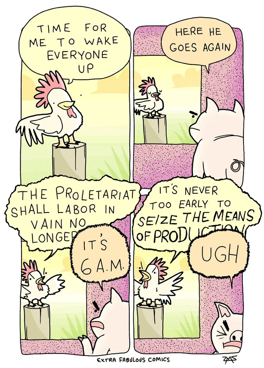 zach (@extrafabulous) on Twitter photo 