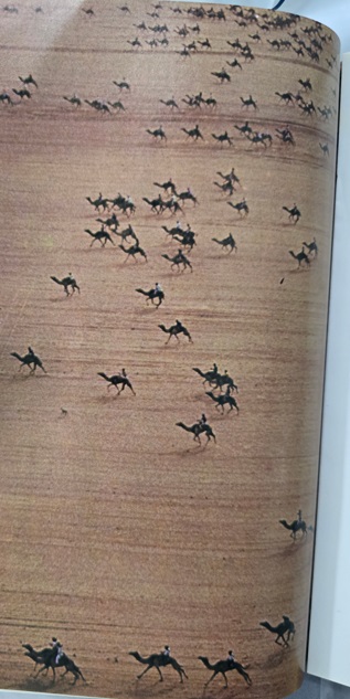 تكرر علينا السؤال في الخاص و الواتس عن هذه الصورة و للمرة الثالثة ننوه انه سباق هجن قرب الرياض 1982 المصدر مجلة ناشيونال جيوجرافيك .