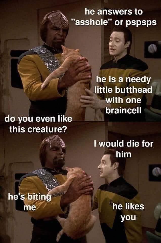 Holodeck Four tweet media