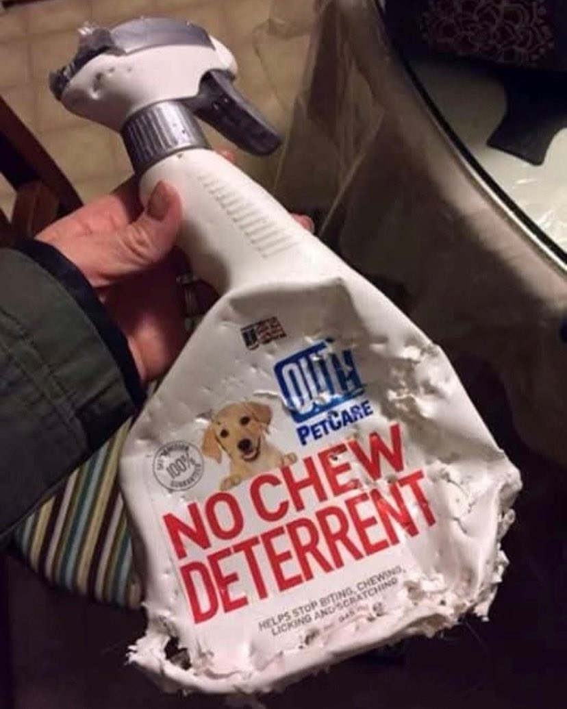 Not everything works the way you want it to. But you can always count on Ear Candy to bring you the best music ever. Surprise show happening today 3-6p! Only on @chirpradio chirpradio.org 107.1FM #earcandy #chirpradio #chicago #realdjs #noalgorithms #msladydj