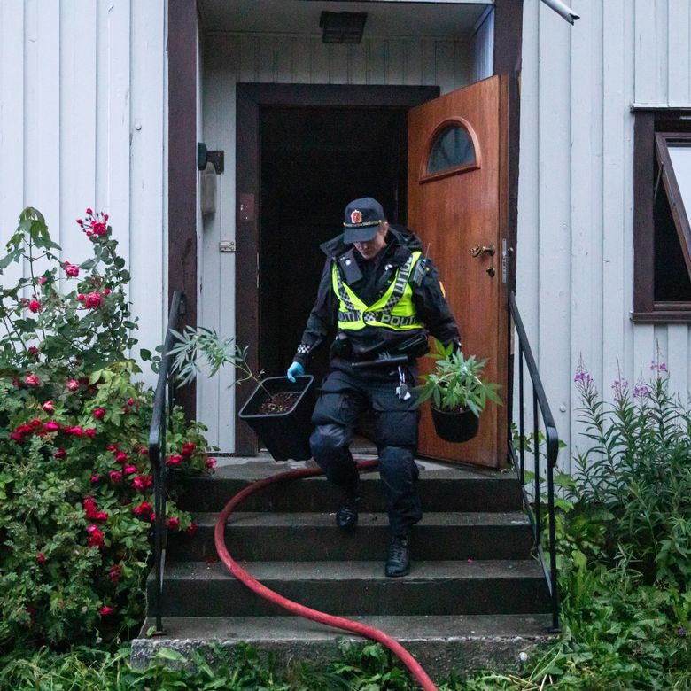 stammebark's tweet image. Mens Norge skaper problemer dyrker italienerne løsninger.