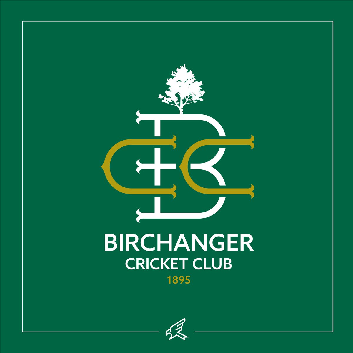 Kite Co. tweet media