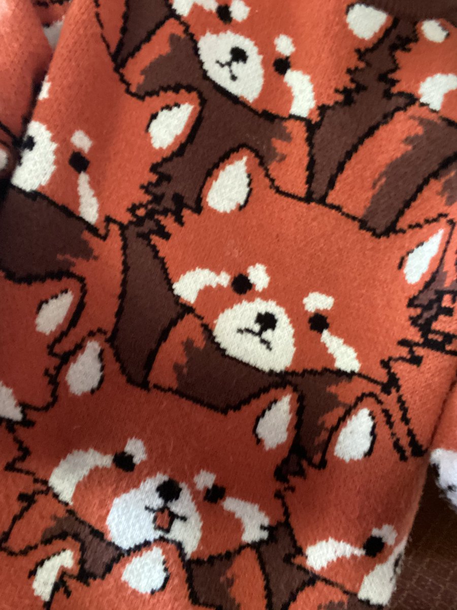 Snep sock, panda sweater :3