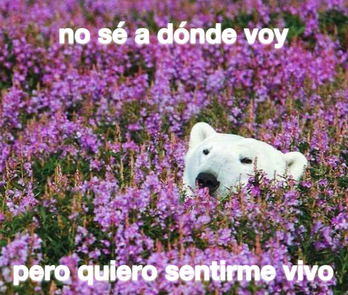 emociones amarillas (@conoloracigarro) on Twitter photo 
