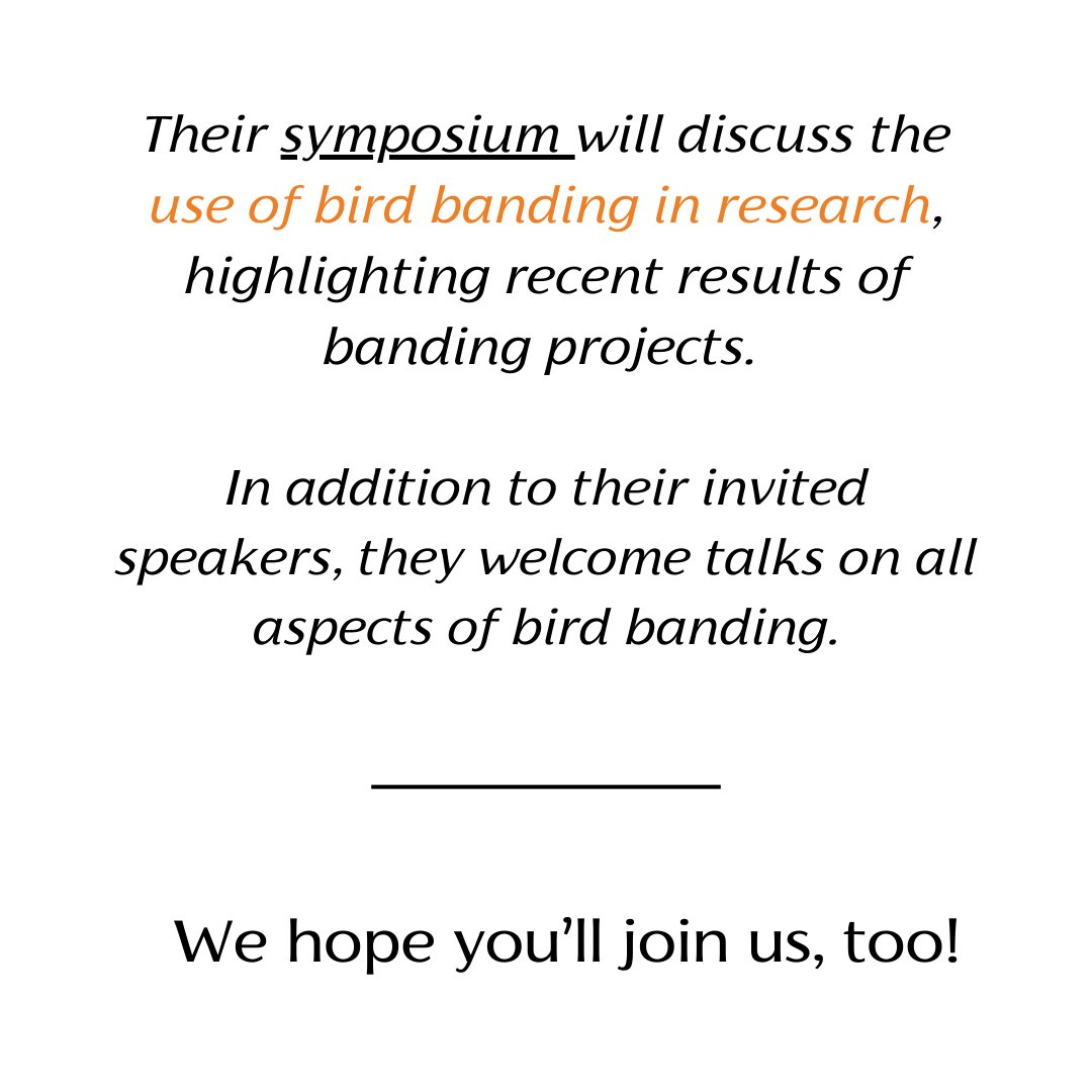 Association of Field Ornithologists tweet media