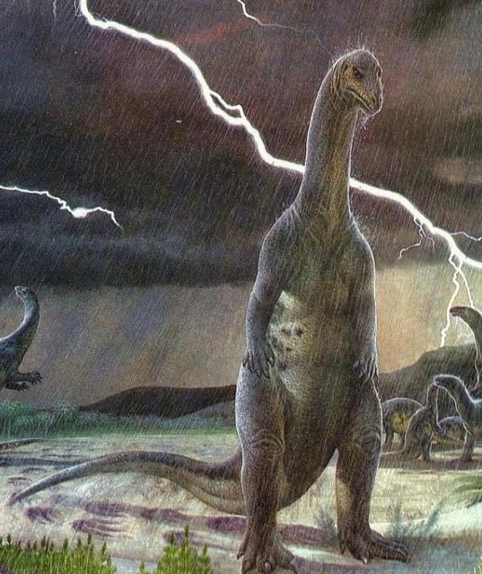 — 𝐓𝐇𝐄 𝐅𝐀𝐋𝐂𝐎𝐍𝐄𝐑 𓅃 (@badbloodbird) on Twitter photo 