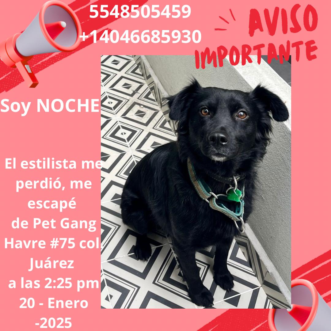 Donnelaith tweet media