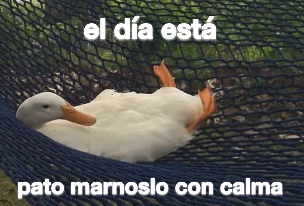 emociones amarillas (@conoloracigarro) on Twitter photo 