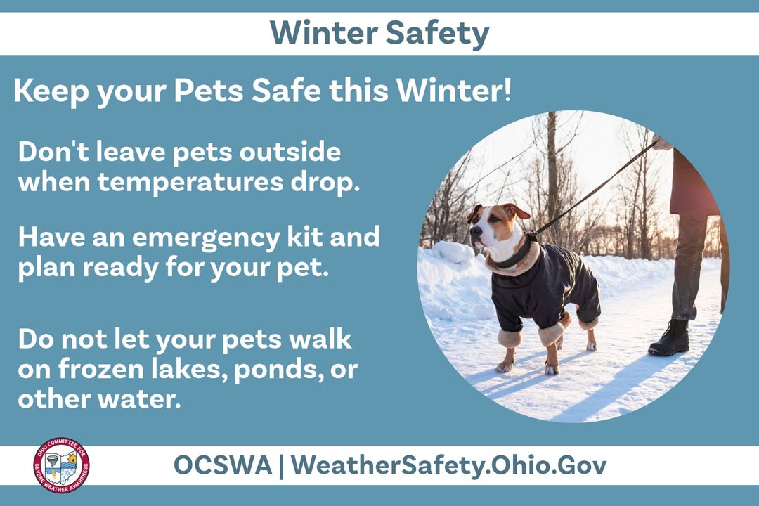 Keep your pets safe this winter too! Bring them indoors when temperatures drop, and be sure to have an emergency kit for them. For more information on winter safety, visit: bit.ly/4evGFQy #OCSWA