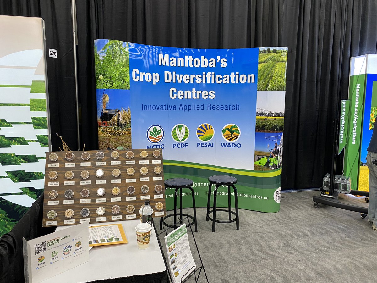 We’re ready - are you? 🌾
#AgDays25

Stop by Booth 621 at the Brandon Curling Club to discover the innovative research from Diversification Centres and join in insightful conversations. Let’s connect!
<a href="/MBAgDays/">Manitoba Ag Days</a> <a href="/scottchalmers15/">Scott Chalmers</a> <a href="/JamesFrey21/">James Frey</a> <a href="/Haider_Carberry/">Haider Abbas</a>
<a href="/CropCentres/">Manitoba Diversification Centres</a>