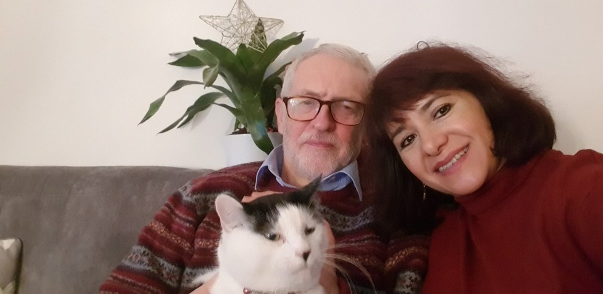 Thank you to everyone for the kind messages are the lost of our beautiful "el gato". He was more than a cat; he was a companion, part of our family, and he always stood with us in the good and bad times. He was a real and honest comrade!