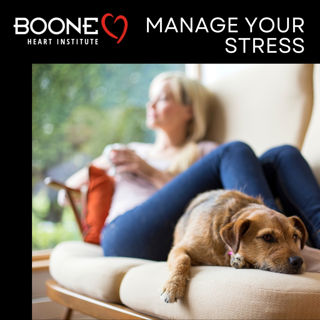 BooneHeart's tweet photo. Stress hurts your heart!  Deep breaths, meditation, &amp; self-care can help.  Your heart &amp; mind are connected, take care of both! #StressRelief #HeartWellness #BooneHeartInstitute https://t.co/819lfFm4Ne
