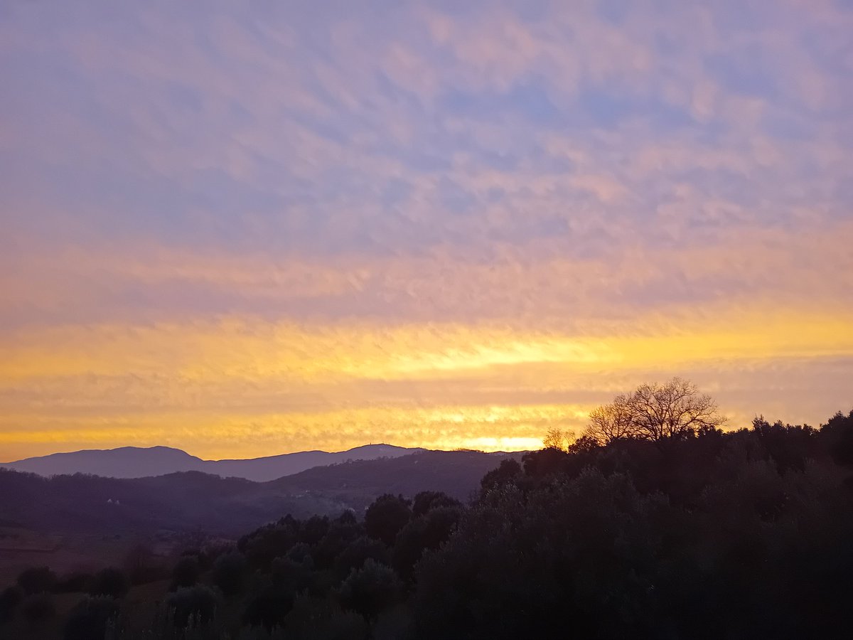 Rodope86's tweet photo. Il carnato del cielo
sveglia oasi
al nomade d’amore.
#GiuseppeUngaretti #tramonto #Calabria #calabriadamare #20gennaio2025 #VentagliDiParole https://t.co/mIwHkUqXI8