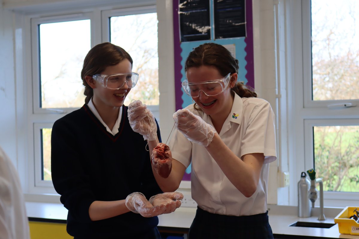 BallardSchool's tweet photo. Year 10 Biology pupils bravely performed dissections on lambs’ hearts - not for the faint hearted!
#Science #GCSEBiology #Senior #Year10 #PraticalExperiments #InspiringLearningAtBallard #CoEducationalSchoolOfTheYear https://t.co/MBNoZGZu9a