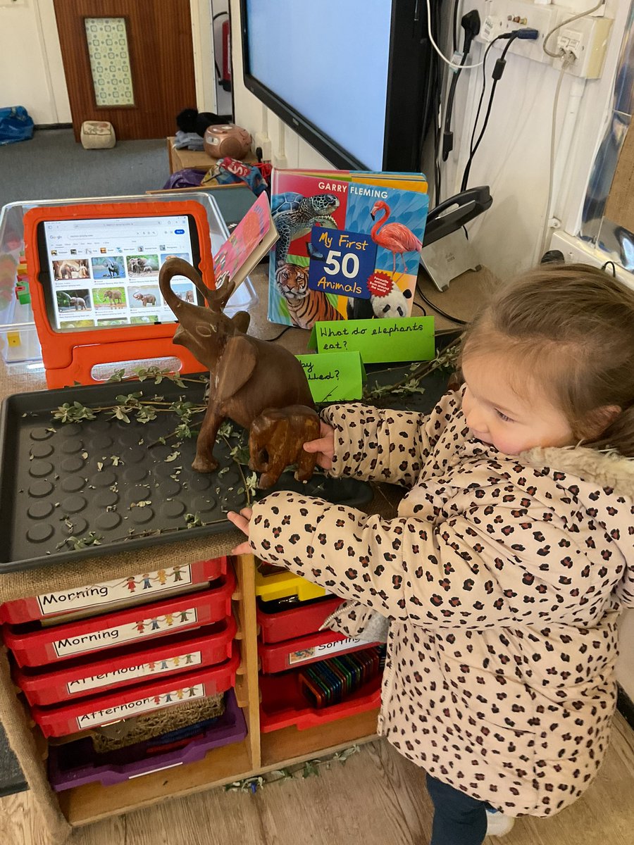 Sully Primary School tweet media