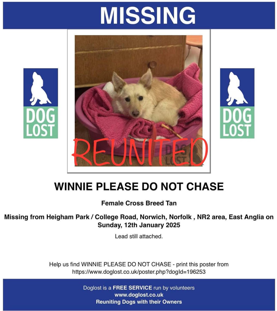 DogLost Norfolk Suffolk & Cambridgeshire tweet media