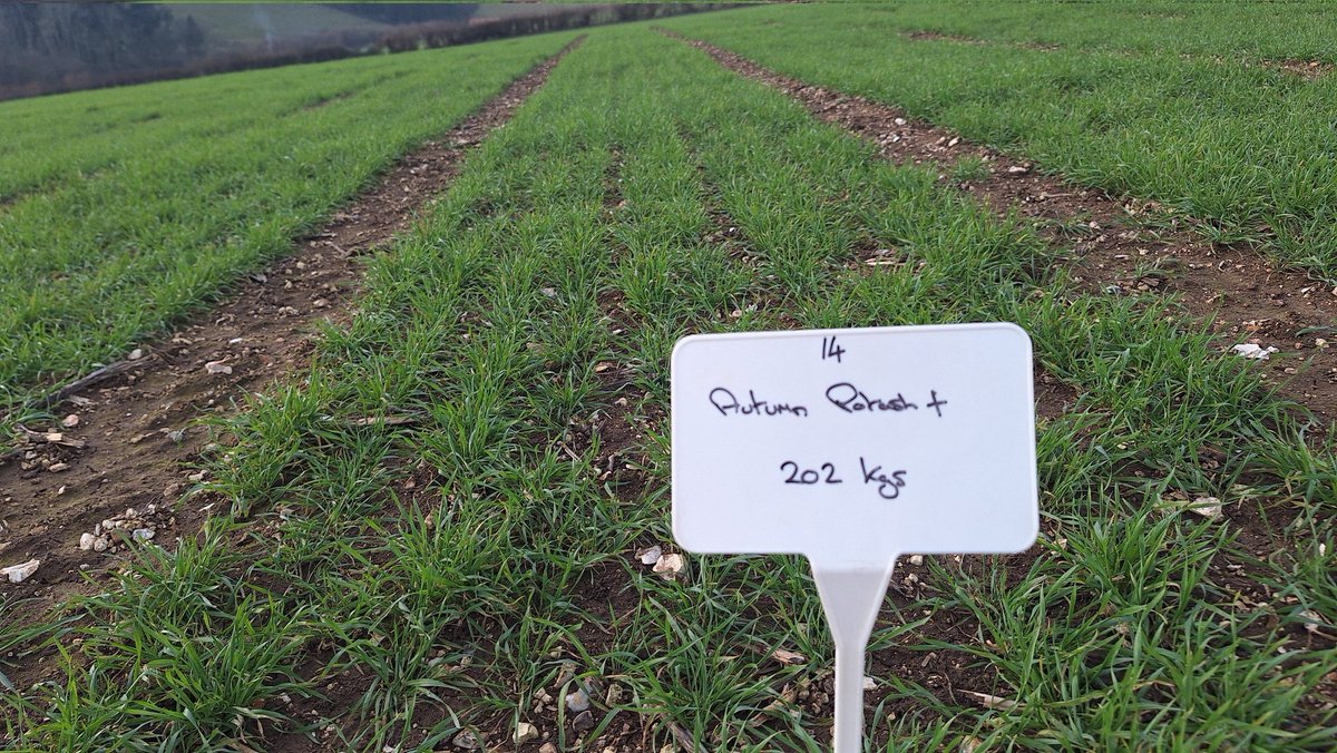 Scott Garnett tweet media