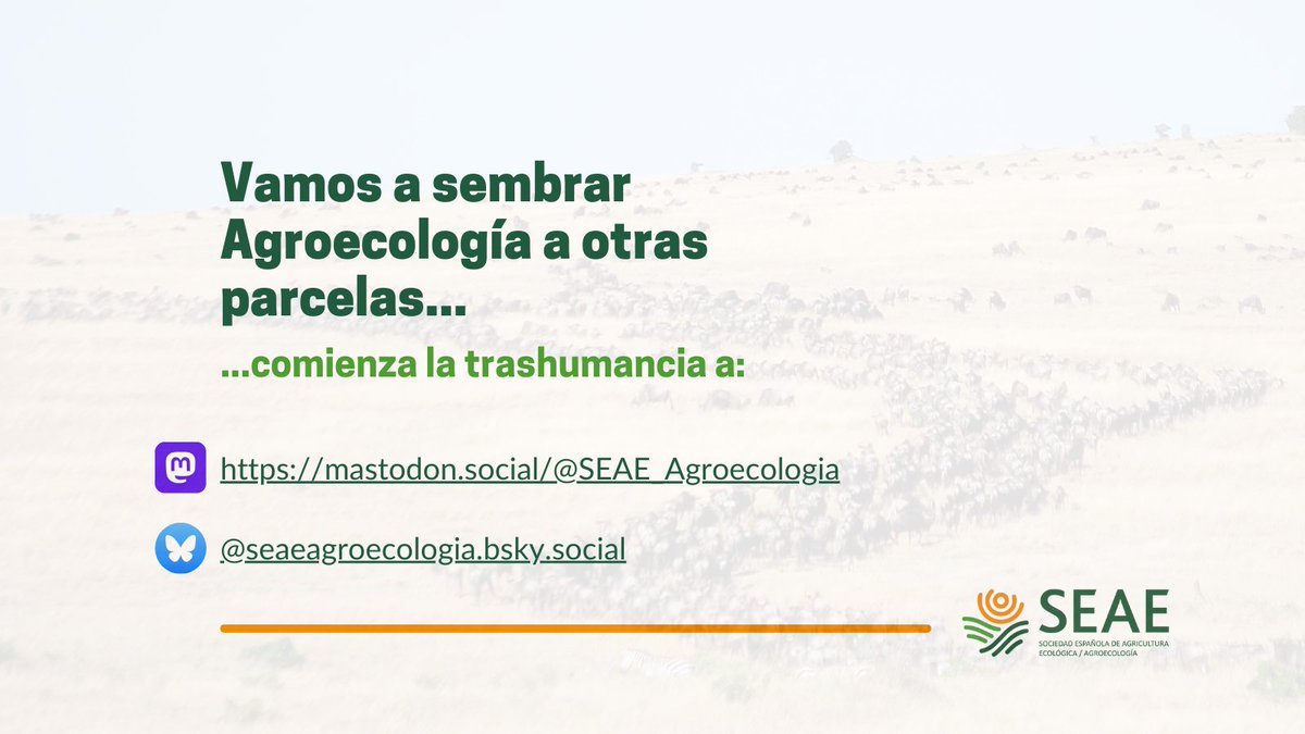 SEAE (@seae_agroecolog) on Twitter photo Sabéis que los ambientes #tóxicos no son lo nuestro, así que nos vamos a sembrar #Agroecología a otras parcelas 🌱
Comenzamos la #trashumancia 🐑🐂...
#HelloQuitteX 
#VamonosJuntas Sabéis que los ambientes #tóxicos no son lo nuestro, así que nos vamos a sembrar #Agroecología a otras parcelas 🌱
Comenzamos la #trashumancia 🐑🐂...
#HelloQuitteX 
#VamonosJuntas