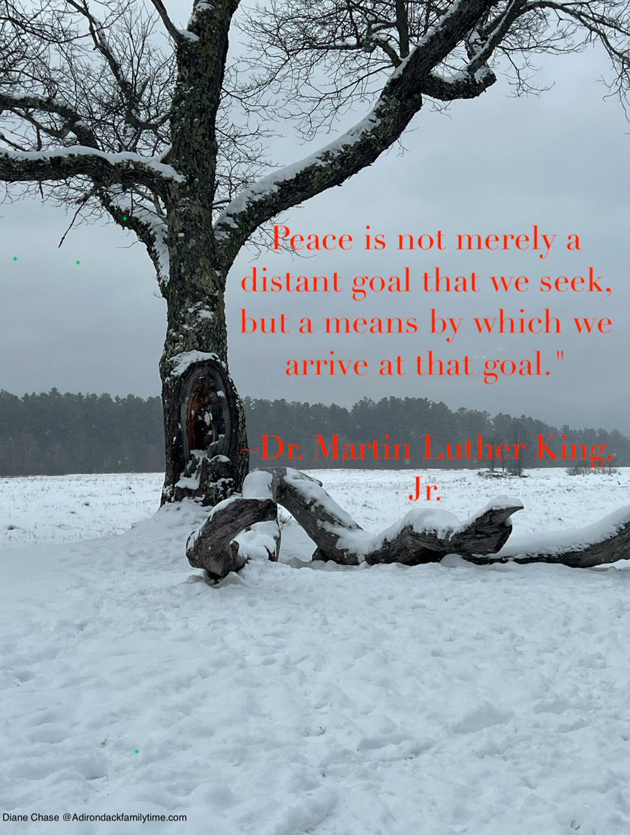 familytime's tweet image. “Peace is not merely a distant goal that we seek, but a means by which we arrive at that goal."
* Dr Martin Luther King.
Jr. #MartinLutherKingJrDay